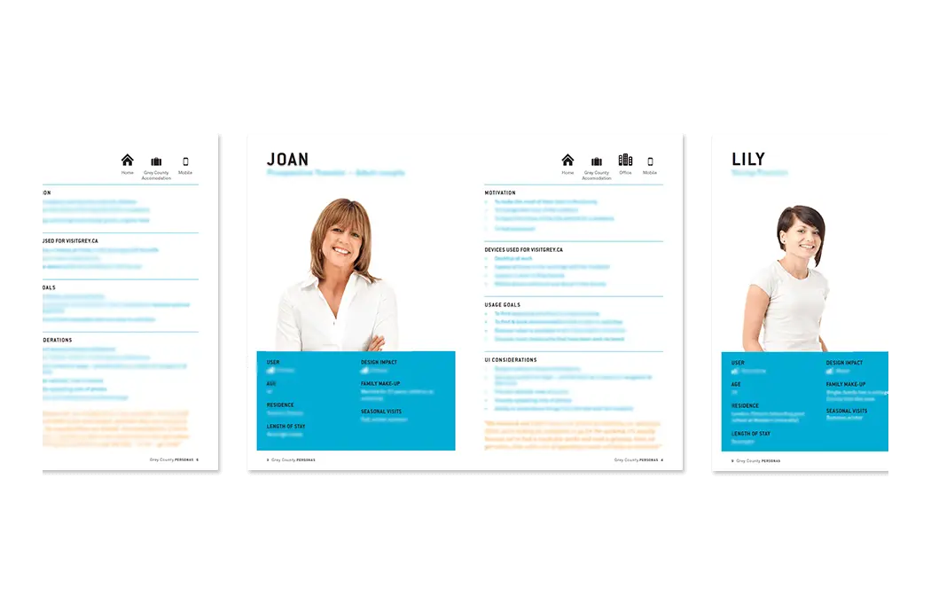 New Brunswick Power Website Personas